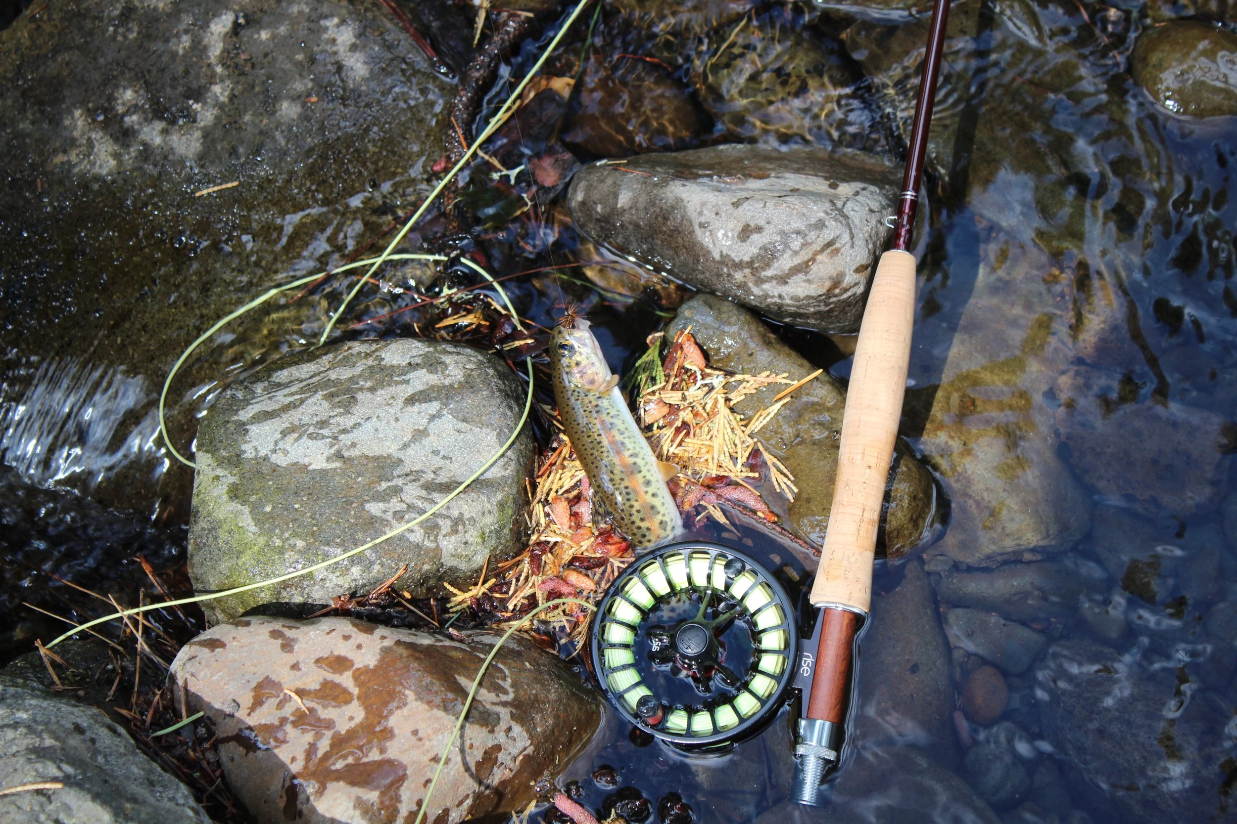 Fly Shop — Lance Gray & Company
